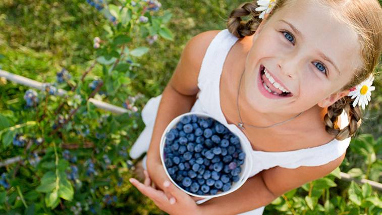 Zdravotní benefity bobulí: Proč jíst maliny nebo aronii?