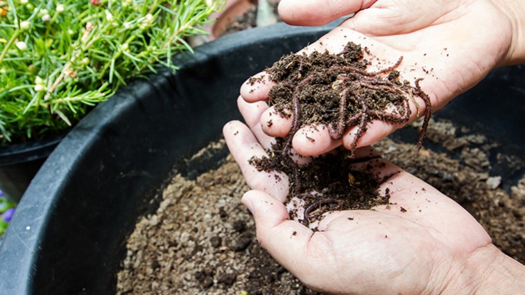 Jak v Česku fungují Zero Waste obchody a kde je najít?