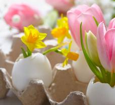 FOTOinspirace na jarní a velikonoční dekorace