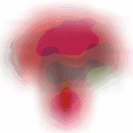 Poinsettia v keramickém květináči