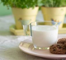 Kakaové cookies s čokoládou